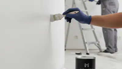 Charlotte Paint Pros providing paint touch-up service in Charlotte, NC for clean, protected walls